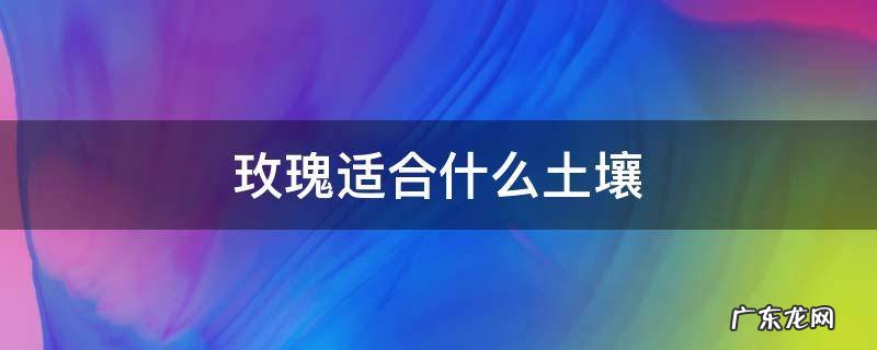 盆栽玫瑰喜欢什么样的土壤 玫瑰适合什么土壤