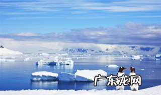 去南极旅游 去南极旅游的最佳时间