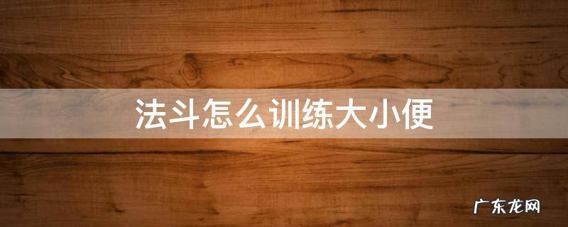 法斗怎么训练大小便 法斗怎样训练大小便