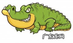 鳄鱼用什么呼吸 鳄鱼用什么呼吸是什么动物