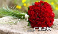 女性朋友过生日送什么花 过生日送什么花