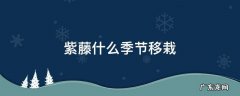 紫藤适合什么时候移栽 紫藤什么季节移栽