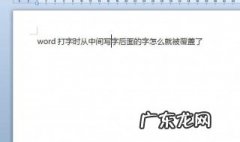 word2007打字覆盖后面的字 word打字覆盖后面的字怎么解决