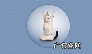 如何学习摄影 如何学好摄影基础教程