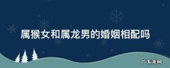 属猴女和属龙男的婚姻相配吗 属龙男和属猴女婚配怎么样