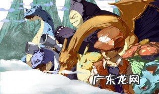 口袋妖怪魂银攻略 口袋妖怪魂银攻略三周目