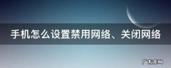 手机怎么设置禁用网络、关闭网络 手机怎么设置禁止使用网络