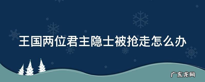 王国两位君主隐士被抢走怎么办 王国两位君主隐士被抢走怎么办啊