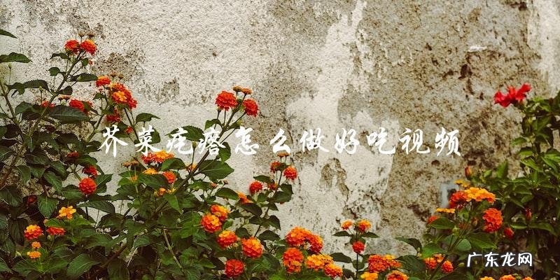 视频教程:芥菜疙瘩做法,让你做出美味好吃的口感