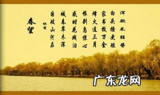 国破山河在城春草木深什么意思表达了什么 国破山河在城春草木深什么意思