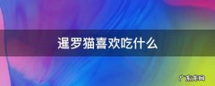 暹罗猫喜欢吃什么猫粮 暹罗猫喜欢吃什么