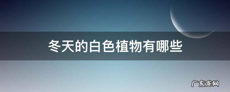 冬天的白色植物有哪些 哪些植物是白色