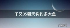 千又05朝天钩钓多大鱼 千又0.5朝天钩钓多大鱼