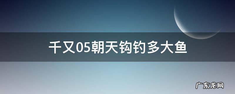 千又05朝天钩钓多大鱼 千又0.5朝天钩钓多大鱼