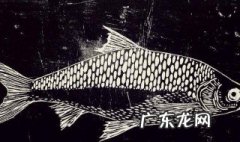 版画制作过程 版画制作过程视频