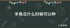 羊角瓜什么时候可以种 羊角瓜南方可以种吗