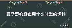 夏季野钓鲫鱼用什么味型的饵料 夏季钓鲫鱼用什么味道的饵料