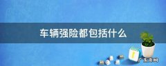车辆强险都包括什么费用 车辆强险都包括什么