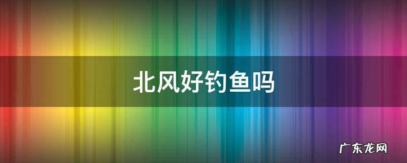 夏天东北风好钓鱼吗 北风好钓鱼吗