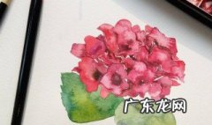 水彩画教程 水彩画教程 初学者