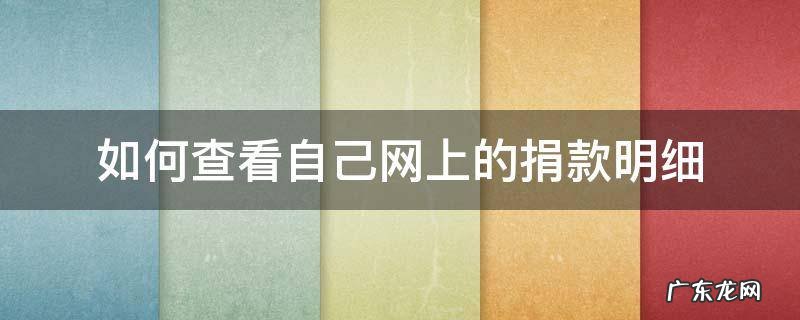 如何查询自己的捐款记录 如何查看自己网上的捐款明细