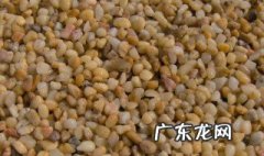 新疆的鹅卵石长什么样 为什么新疆地下有那么多鹅卵石