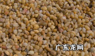 新疆的鹅卵石长什么样 为什么新疆地下有那么多鹅卵石