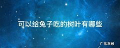 可以给兔子吃的树叶有哪些 兔子能吃的树叶有哪些
