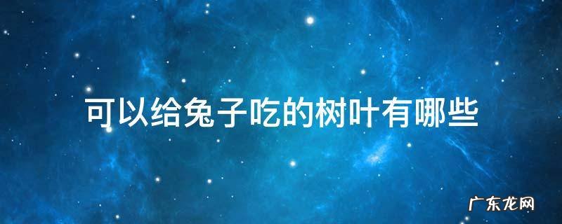 可以给兔子吃的树叶有哪些 兔子能吃的树叶有哪些