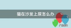 猫在沙发上尿怎么办,可以关笼吗 猫在沙发上尿怎么办