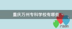 重庆万州专科学校有哪些 万州有哪些大专院校