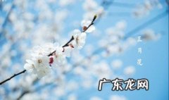 一月开什么花二月开什么花三月开什么花 三月开什么花