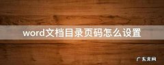 word文档目录页码怎么设置 word文档目录页码怎么设置对齐