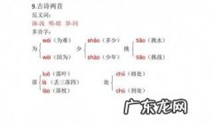 严格的反义词是什么词 严格的反义词