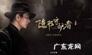 隐形守护者攻略第十章 隐形守护者攻略