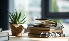 而后可以进速致远的致什么意思 而后可以进速致远的致是什么意思