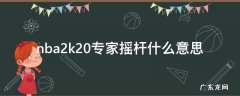 nba2k21专家摇杆什么意思 nba2k20专家摇杆什么意思