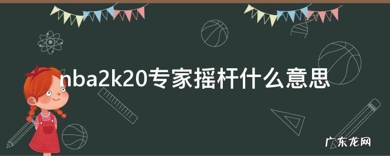 nba2k21专家摇杆什么意思 nba2k20专家摇杆什么意思