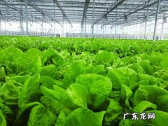 京东绿色物流做了哪些措施？5年节省了3亿个包裹!