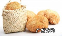 新鲜猴头菇怎么吃最好 新鲜猴头菇怎么吃