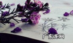 一心一意成语接龙 一心一意成语接龙30个