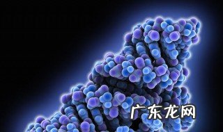 细菌核糖体的功能 核糖体的功能