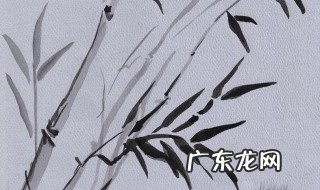 水墨画竹子的画法教案 水墨画竹子的画法