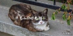如何使用华为HN8145光猫实现高速网络连接？