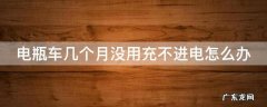 电瓶车几个月没用充不进电怎么办呢 电瓶车几个月没用充不进电怎么办