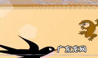 家里有壁虎怎么办 家里有壁虎怎么驱赶出去