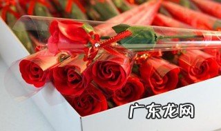 如何折玫瑰花 如何折玫瑰花卫生纸