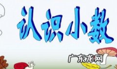 小数的初步认识评课稿 小数的初步认识