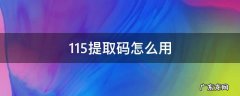 115标准提取码转迅雷 115提取码怎么用