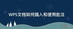 WPS文档如何插入和使用批注 wps中如何添加批注